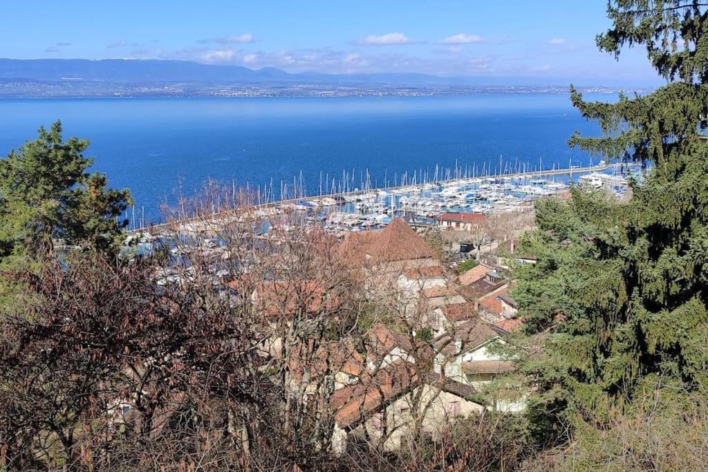 T2 Le Ferry - Hyper Centre * Thonon-les-Bains